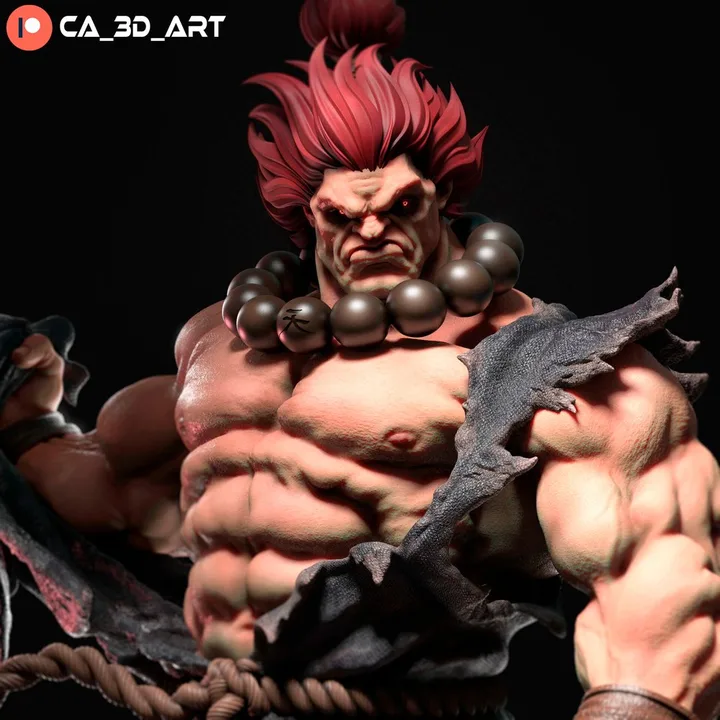 Akuma figure reference