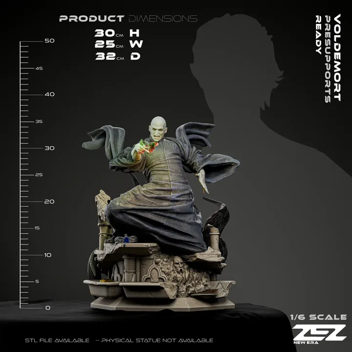 Voldemort figure reference